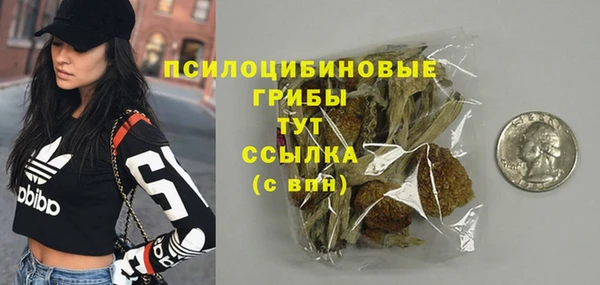 СК Сосновый Бор