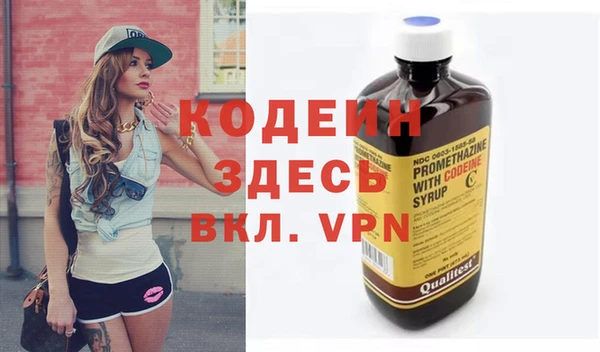 СК Сосновый Бор