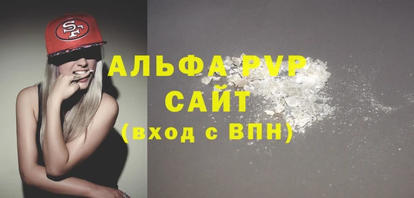 СК Сосновый Бор