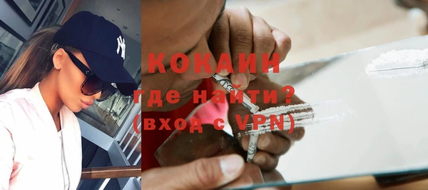 СК Сосновый Бор