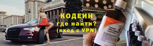 СК Сосновый Бор
