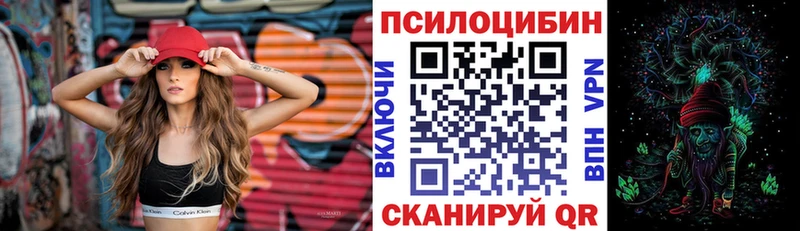 Псилоцибиновые грибы Cubensis  Купить закладки  Калач 